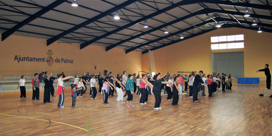 beneficios tai chi beneficios tai chi
