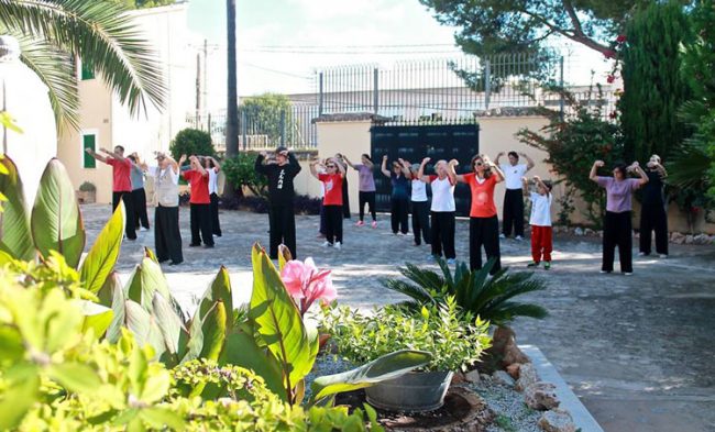 Formas de Manos Tai Chi Formas de Manos Tai Chi