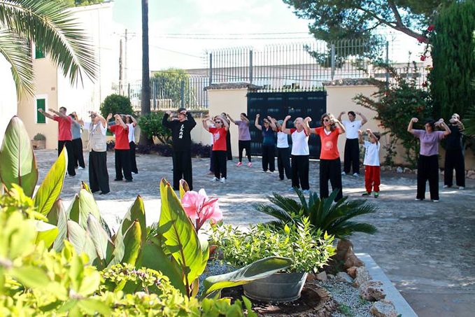 Formas de Manos Tai Chi Formas de Manos Tai Chi