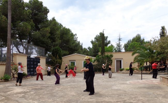 2015-05. Son Roca.