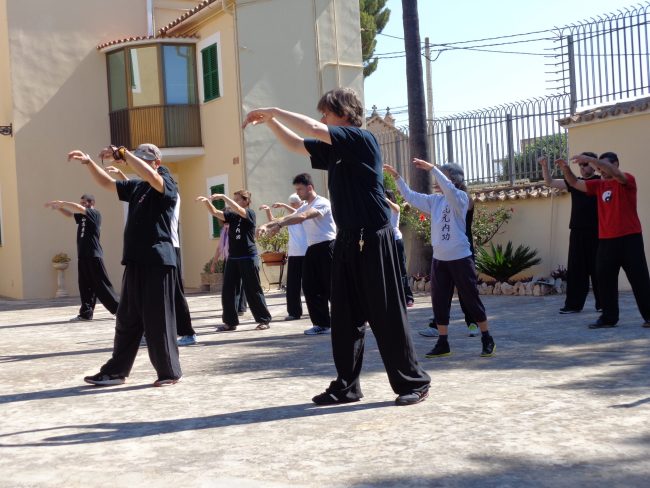 2015-05. Son Roca.