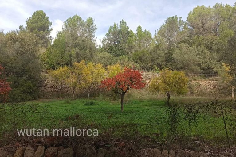 facebook_1680123604585_7046949155208255868 (1)