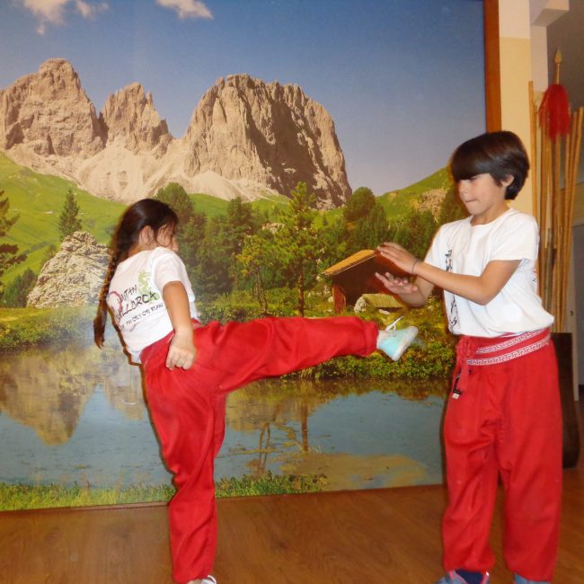 DSC02401 (2)